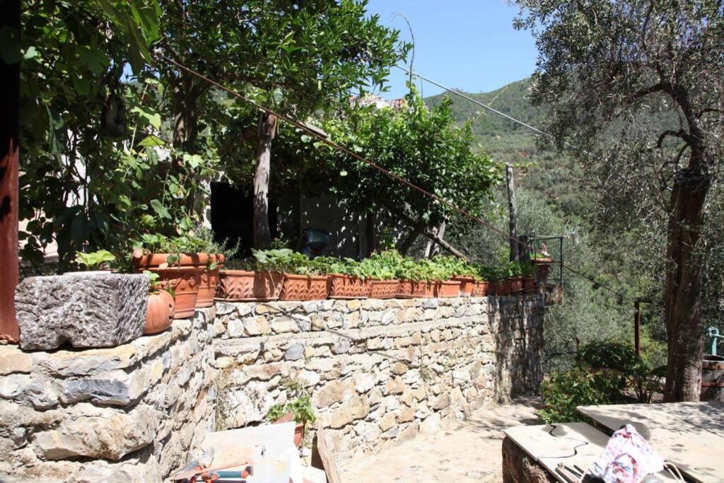 Le Case Della Lizza - Casa Blu Levanto Dış mekan fotoğraf